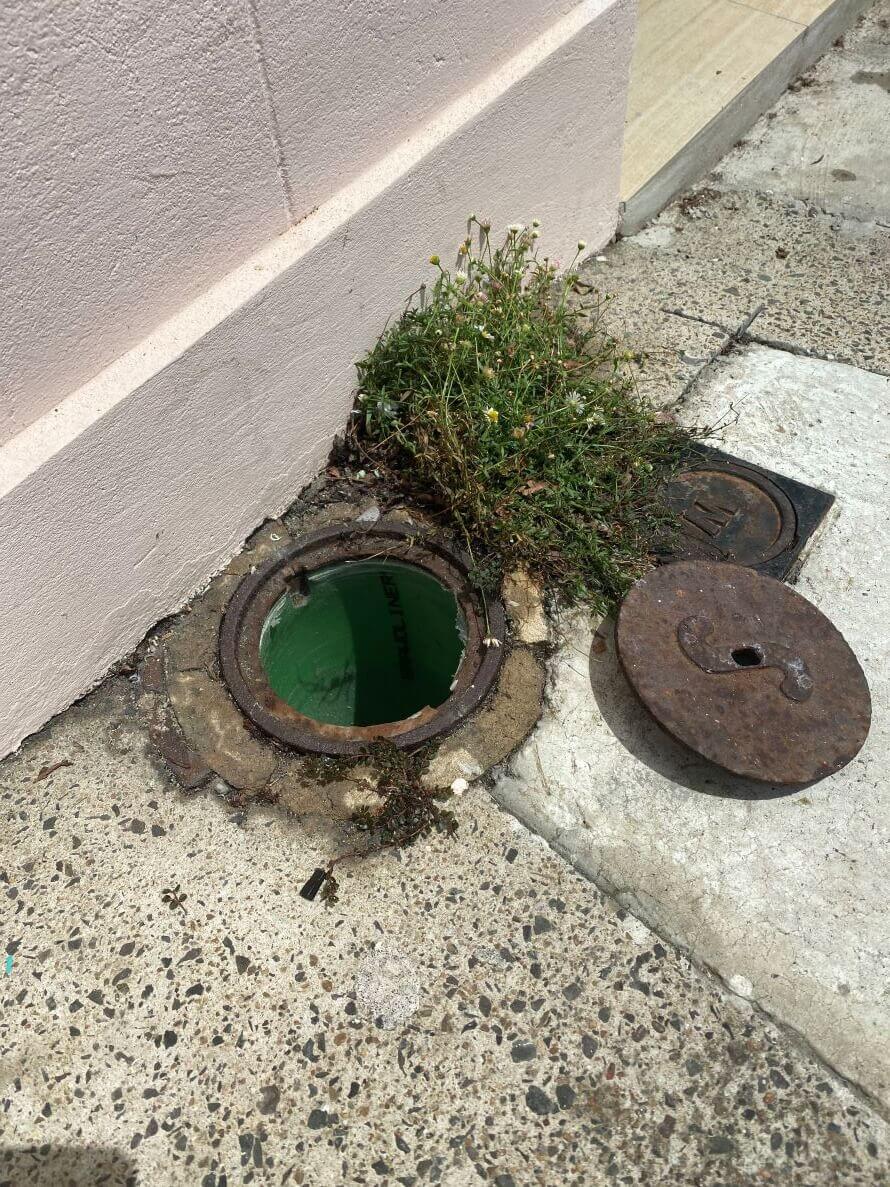 Your Guide to Blocked Sewer Pipes The Relining Company