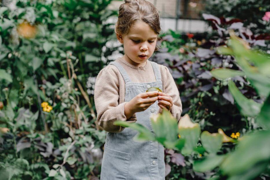 Girl holding feijoa tree leaf