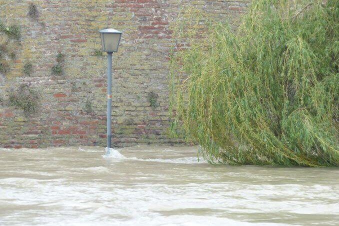 Long-term consequences of a blocked stormwater drain