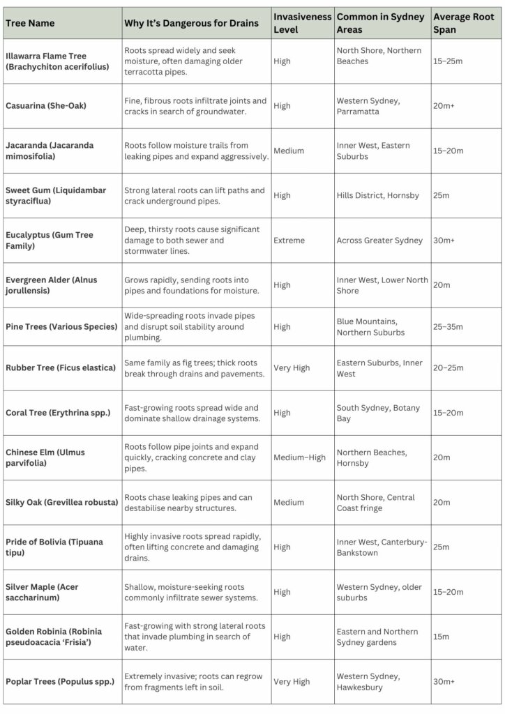 Table of 15 common trees in Sydney and the invasiveness level of their roots