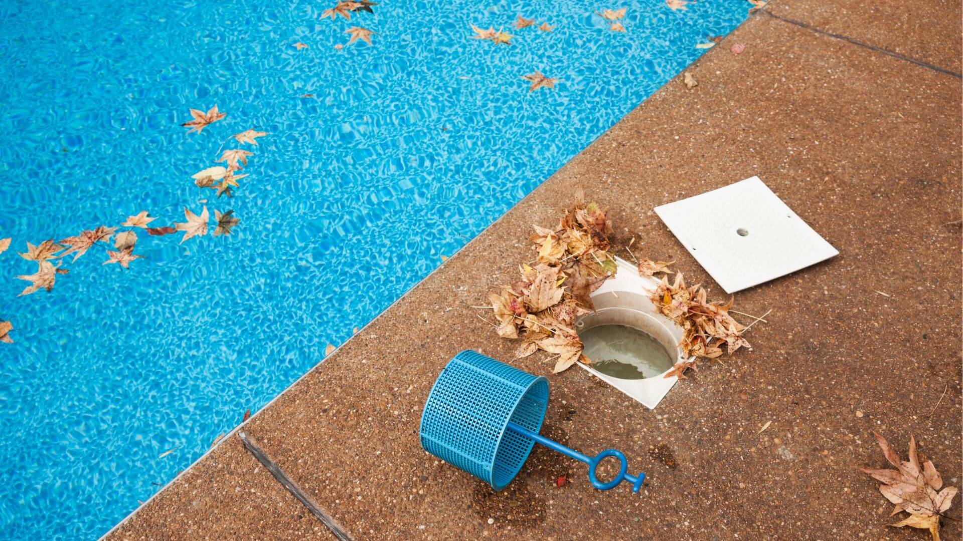 skimmer box full next to dirty pool